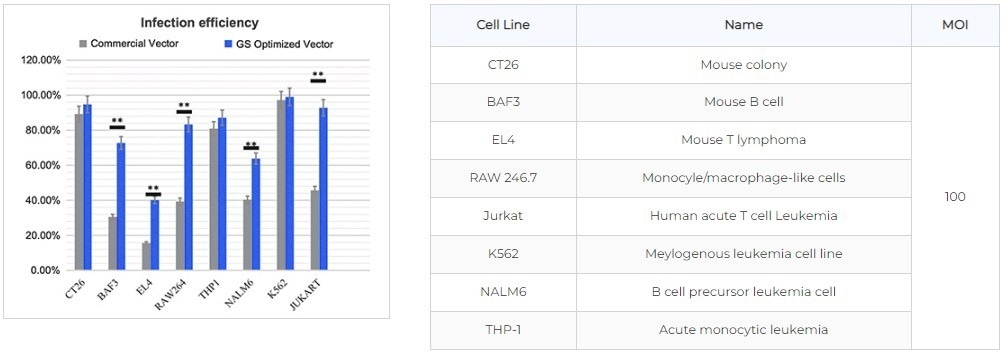 Lentiviral vectors for integration of the gene