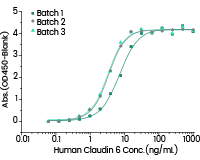Multi-pass transmembrane virus-like particle (VLP) proteins