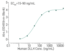 Induced pluripotent stem cell (iPSC) cytokines