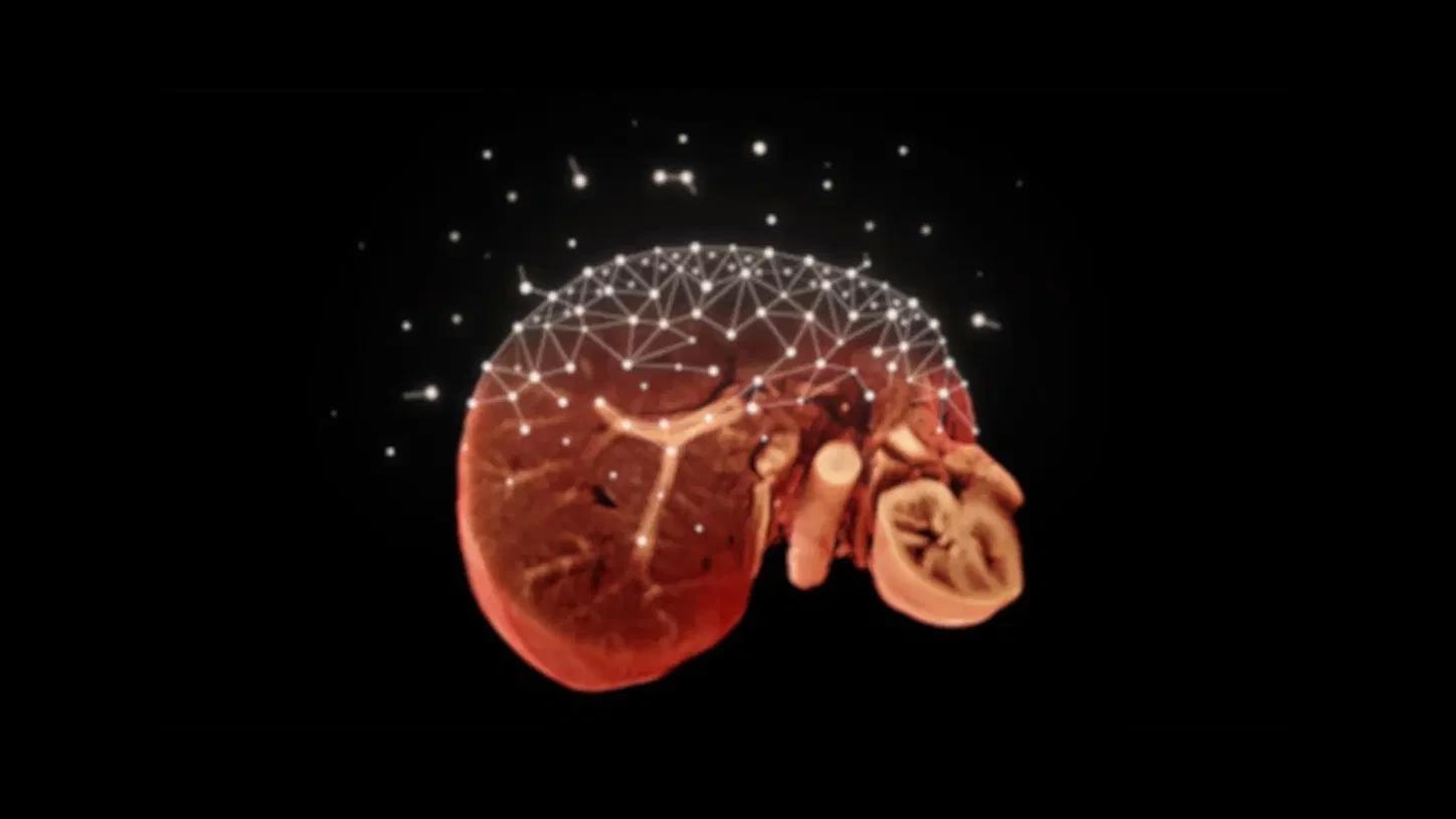 3T MRI scanner MAGNETOM Vida