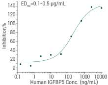 Inhibit the biological activity of IGFI or IGFII on MCF7 human breast cancer cells.