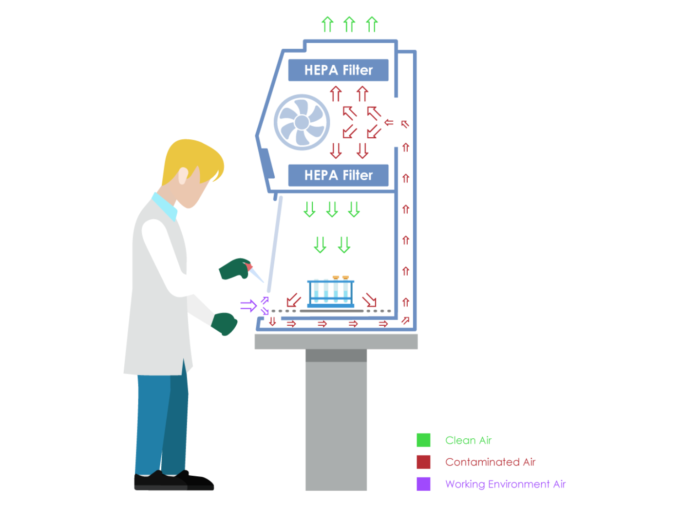 Biological Safety Cabinets: Guardian Class 2