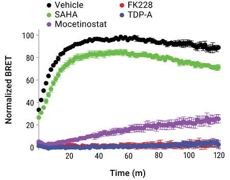 Measuring the intracellular residence time of HDAC inhibitors at HDAC1. Measuring compound affinity under equilibrium conditions is one aspect of a live-cell NanoBRET™ TE assays. By incorporating residence time analysis, new insights are obtained