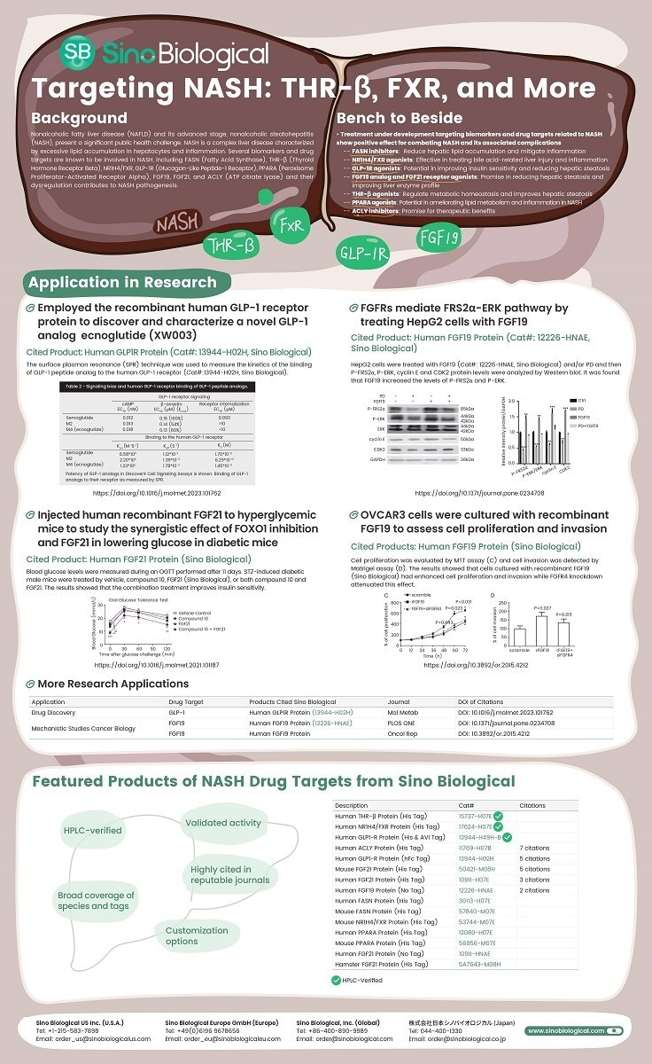 NASH treatments: Advanced drug candidates