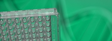 Baculovirus–insect cell expression system for protein delivery