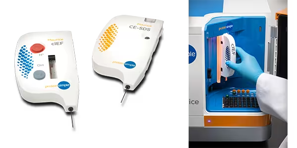Maurice-Imaged capillary electrophoresis platform