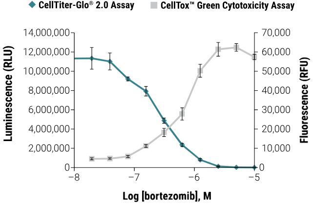 CellTiter-Glo® 2.0 Cell Viability Assay for for fast, easy, everyday use