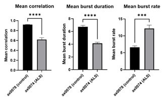 axoCells healthy control and ALS-derived motor neurons (C9ORF72) were matured for 21 days and transfected with Neuroburst Orange to look at spontaneous neuronal activity on the IncuCyte S3. Healthy motor neurons show regular synchronous firing compared to ALS which fire more frequently, for shorter duration and in a less-synchronized manner (shown by burst duration and rate). N = 3, ***p < 0.001, ****p < 0.0001. Image Credit: Axol Bioscience Ltd
