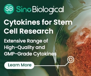 Utilizing cytokines in stem cell cultivation: Advances and applications in disease treatment