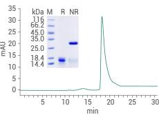Purity: ≥ 95% by SDS-PAGE and SEC-HPLC.