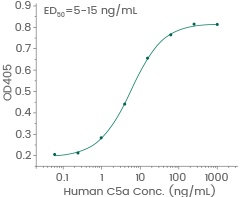 Induced N-acetyl-β-D-glucosaminidase release from differentiated U937 human histiocytic lymphoma cells.