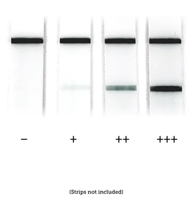 150 nm BioReady gold nanoshells for enhanced lateral flow sensitivity