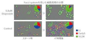 CellVoyager CV8000: For cell-based assay screening