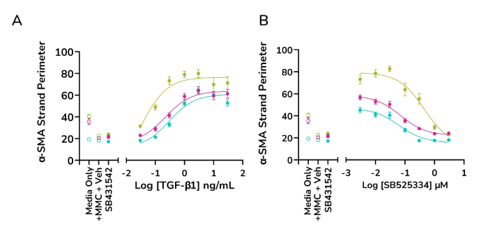 TGF-β1 dose-dependently increases α-SMA strand perimeter indicating increased contractile potential of activated fibroblasts, while ALK5 inhibitor SB525334 shows a decreasing trend (A&B) Data for α-SMA strand perimeter from three healthy human lung fibroblast donors