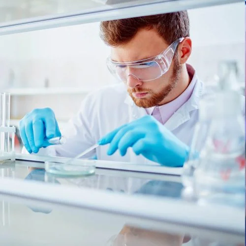 aProximate™: Kidney proximal tubule cell model