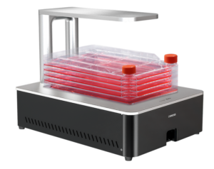 Real-time live cell imaging system