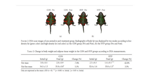 iNSiGHT DXA for preclinical research