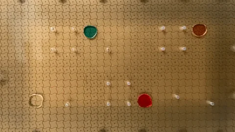 Droplets are controlled using digital microfluidics technology