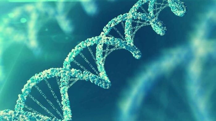 Next generation sequencing with the MIRO CANVAS