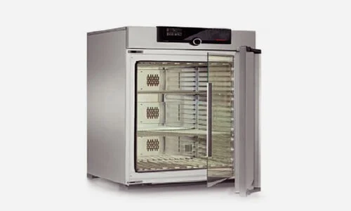 Customized enzyme development and production