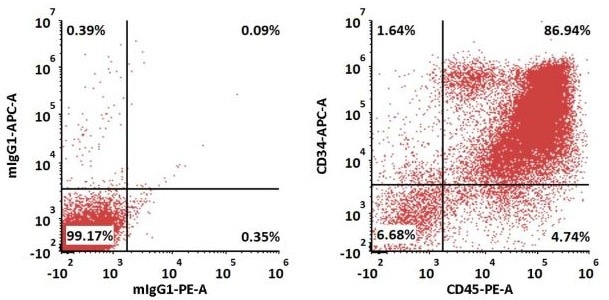 GMP compliant SCF protein
