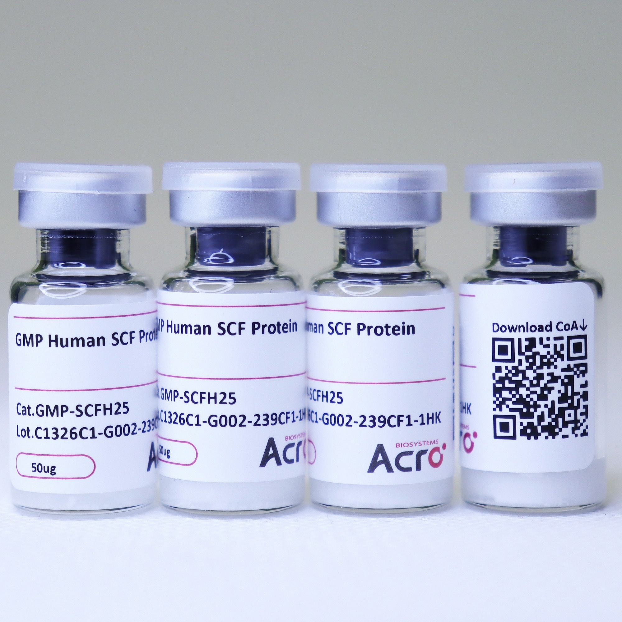 ACROBiosystem's GMP Human SCF Protein