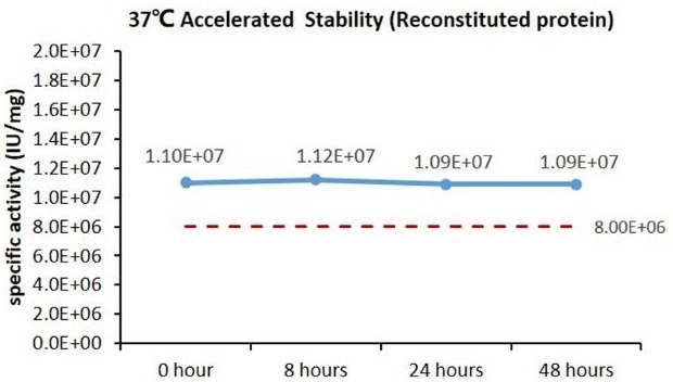 Human IL-15 protein with GMP certification