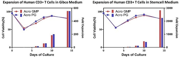 GMP ActiveMax® human T cell magnetic beads