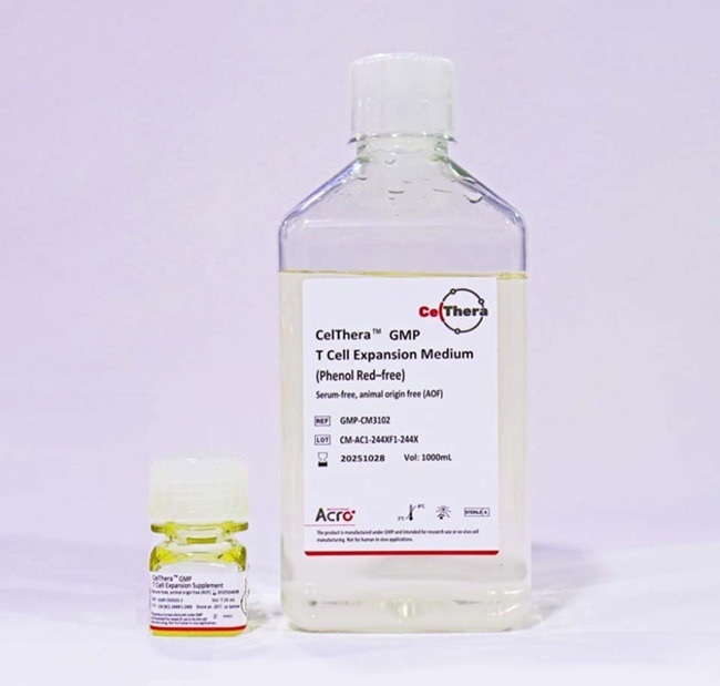 CelThera™ GMP T Cell Expansion Medium (Phenol Red-free): A serum-free culture medium