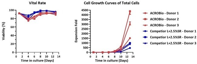 CelThera™ GMP T Cell Expansion Medium (Phenol Red-free): A serum-free culture medium