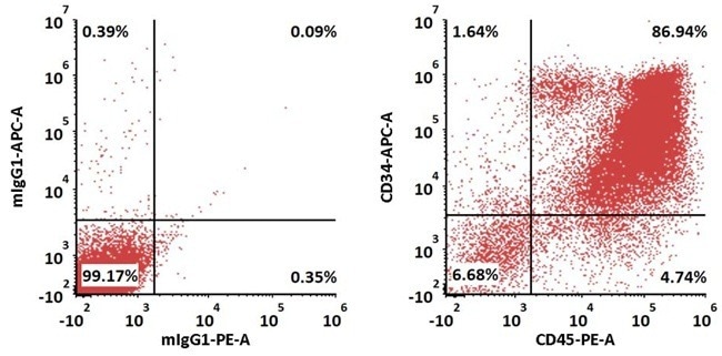 GMP-grade human FGF basic protein
