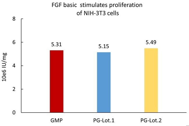 GMP-grade human FGF basic protein