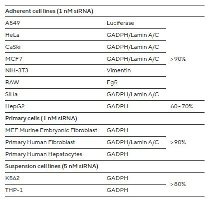 Enhancing siRNA/miRNA transfection efficiency with INTERFERin®