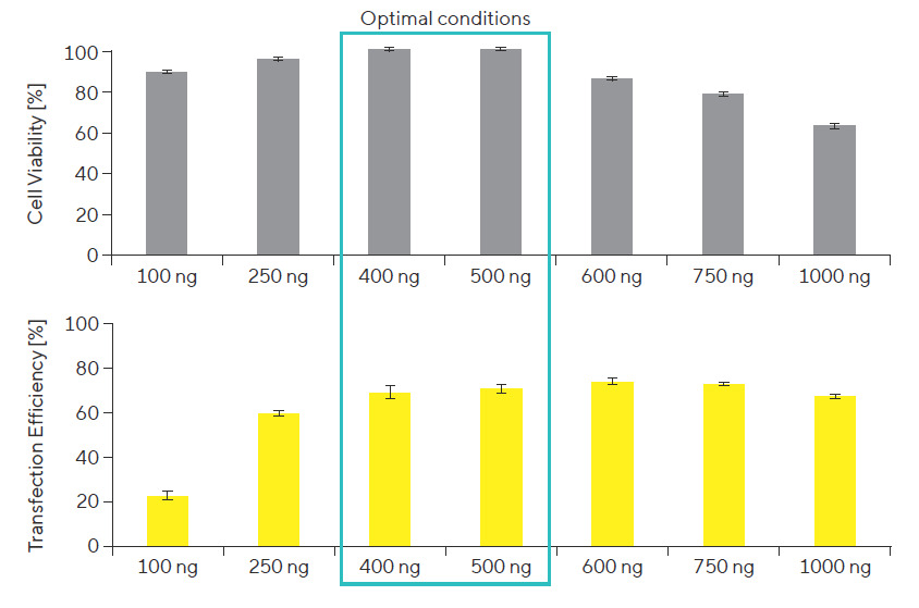 Optimize gene expression with jetOPTIMUS® high-efficiency DNA transfection