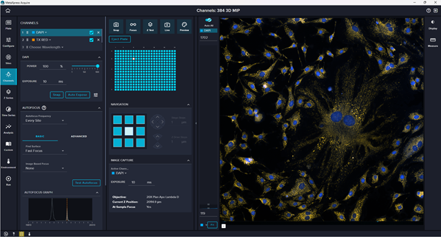 ImageXpress HCS.ai high-content screening