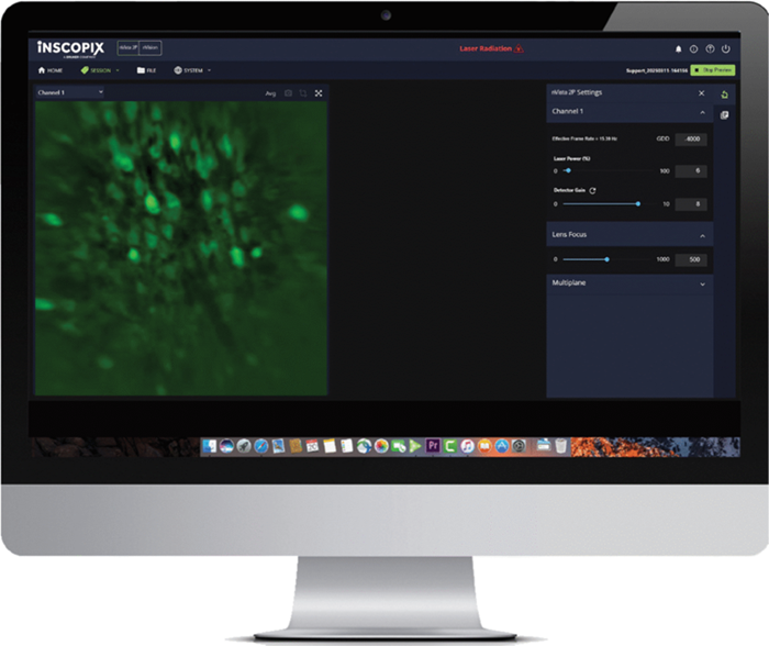 Neural circuit imaging with the nVista 2P miniscope
