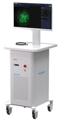Neural circuit imaging with the nVista 2P miniscope