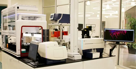 3D Organoid Expansion Service