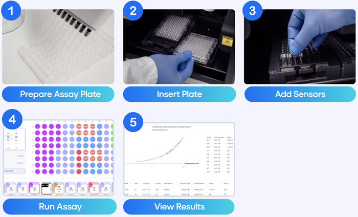 Touchscreen-Guided 5-Step Workflow on the Amperia™ Platform: From plate setup to final data export, Amperia guides users through a consistent, step-by-step process - no external software or specialist training required. The built-in interface streamlines assay setup, run execution, and result analysis across all supported formats.