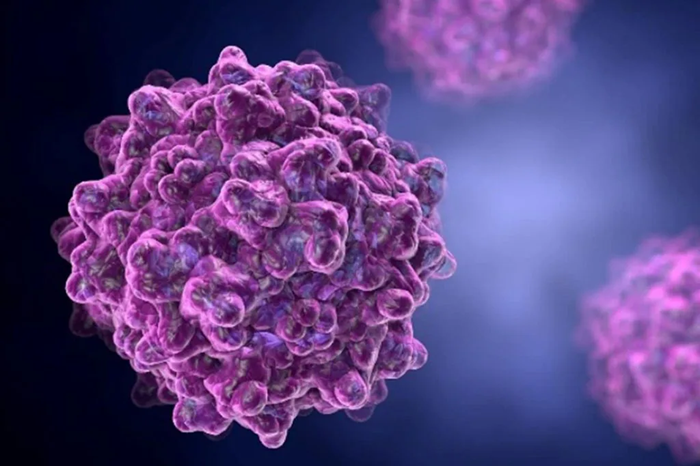 Biomolecule/viral molecule vector.