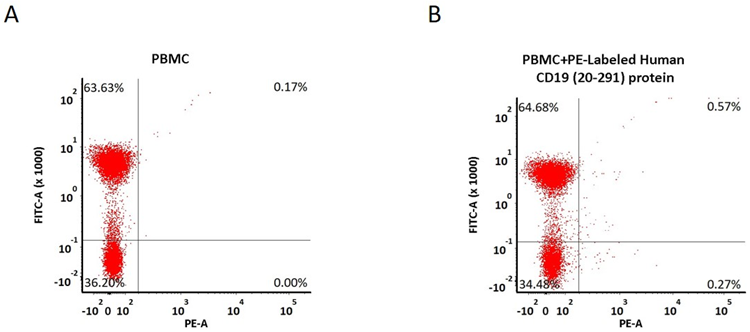 5e5 of PBMCs were stained with PE-Labeled Human CD19 (20-291), His Tag (Cat. No. CD9-HP2H5), and anti-CD3 antibody, washed, and then analyzed with FACS. FITC signal was used to evaluate the expression of CD3+ T cells in PBMCs, and PE signal was used to evaluate the non-specific binding activity to PBMCs (QC tested).