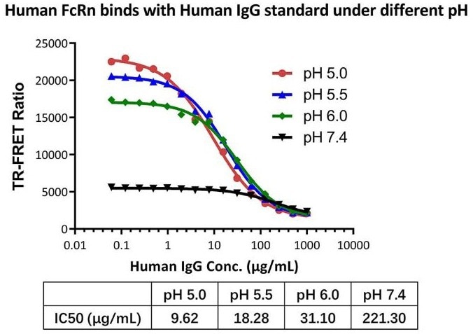 Graph showing TR-FRET Ratio against Human IgG concentration / ug/mL