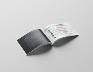 Insights into cell biology and image analysis