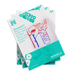 Free guide - Everything about renal proximal tubule cells