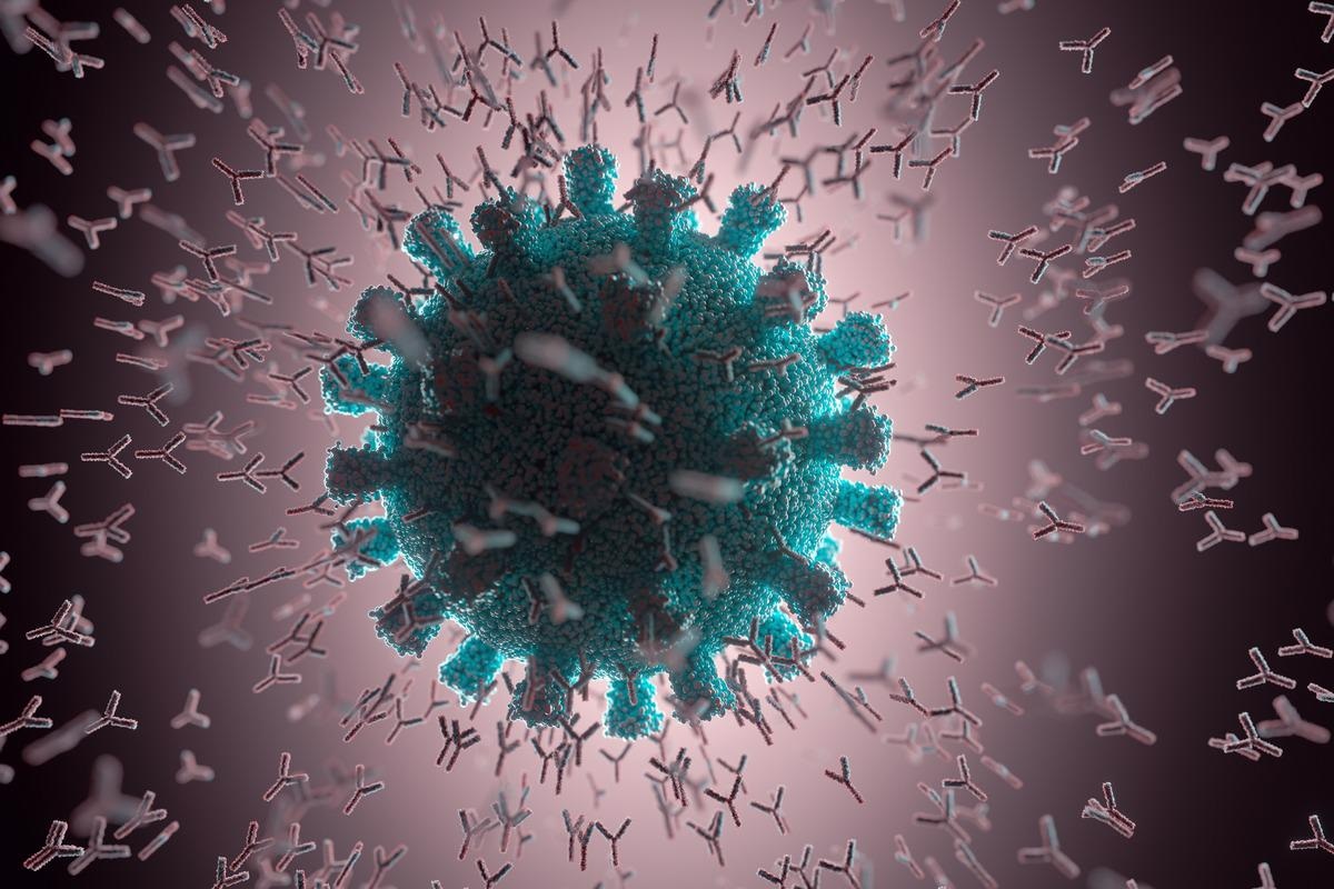 Study: Protective characteristics of COVID-19 convalescent and post-vaccination IgG antibodies. Image Credit: ktsdesign/Shutterstock