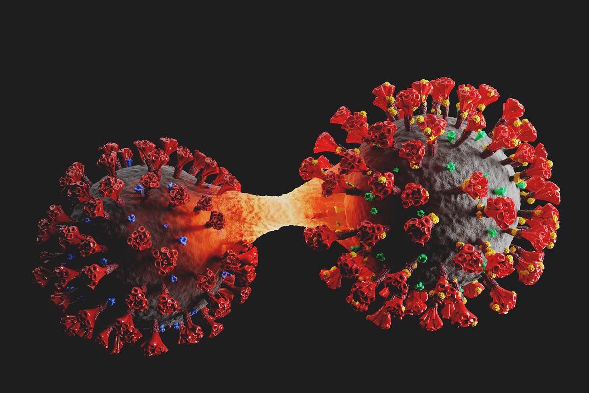 Study: SARS-CoV-2 genomic monitoring in the São Paulo State unveils new sublineages of the AY.43 strain. Image Credit:  PHOTOCREO Michal Bednarek/Shutterstock