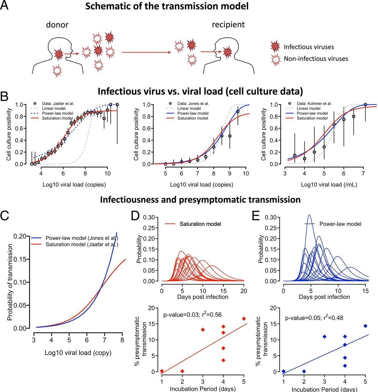The relationship between VL and host infectiousness. (A) A schematic of the probabilistic model describing the steps in a transmission event. A donor sheds both infectious and noninfectious viruses, of which some infectious viruses may reach a recipient during a close contact and establish an infection. (B) Best-fit of the three models [i.e., the linear model (gray), the power-law model (blue), and the saturation model (red)] to the data from Jaafar et al. (27), Jones et al. (28), and Kohmer et al. (29). The open circles denote the percentage of cell culture positivity reported, and vertical lines denote the 95% CIs calculated assuming a binomial distribution for the number of positive cultures. For the datasets from Jones et al. (28) and Kohmer et al. (29), VLs are binned into half-log10 intervals. Solid lines are used for models that describe the data well. (C) The predicted probability of transmission for a typical contact as a function of log10 VL given by the saturation model in Eq. 1 with θ=0.20,h=0.51, and