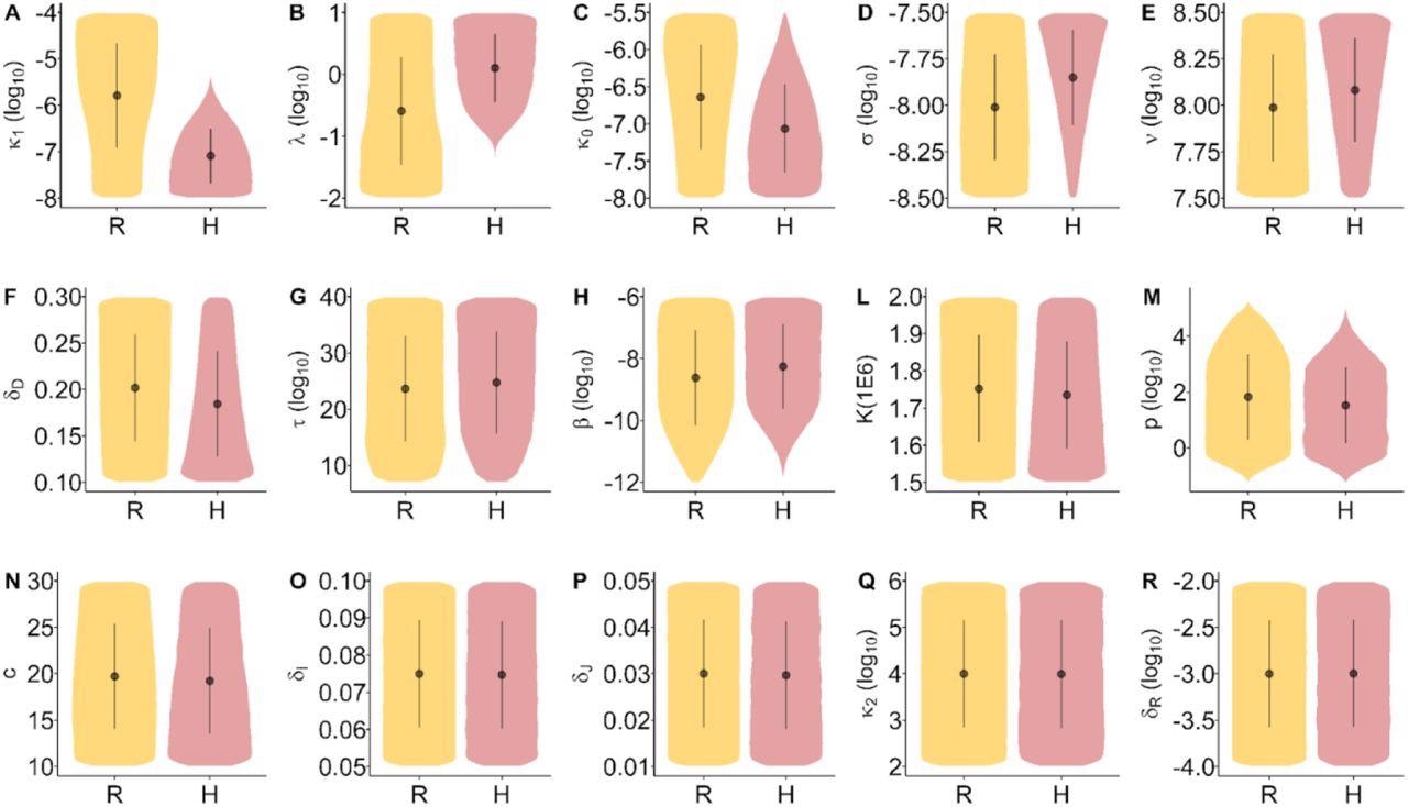 Distribution of the model parameters by inflammation trajectory groups. Distribution overlap may be discriminated from multivariate models. Inflammation trajectory groups R: Resolved inflammation, H: Hyperinflammation.