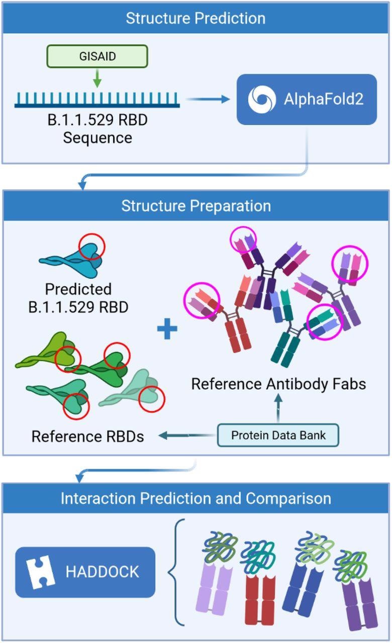 Process flow of the prediction analysis steps.