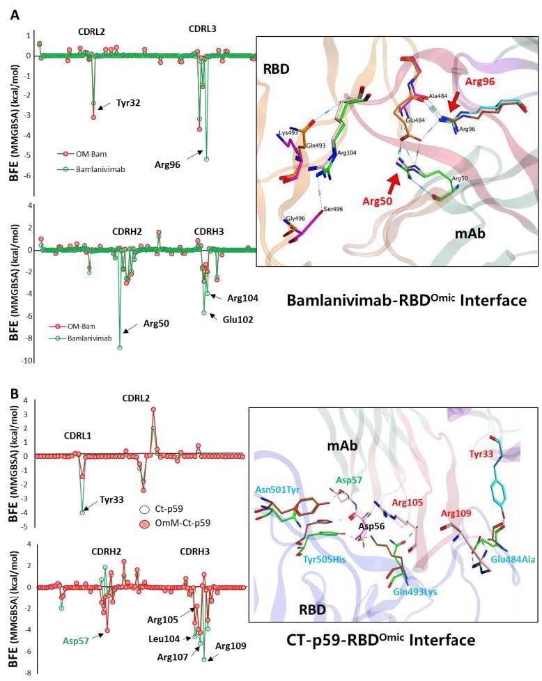 Per-residue changes in the binding affinity of RBD-mAbs were monitored, and the hotspots on CDRs of (A) Bamlanivimab and (B) CT-p59 are labeled. The change in the hydrogen bonds network of the selected hotspots is shown at the right.